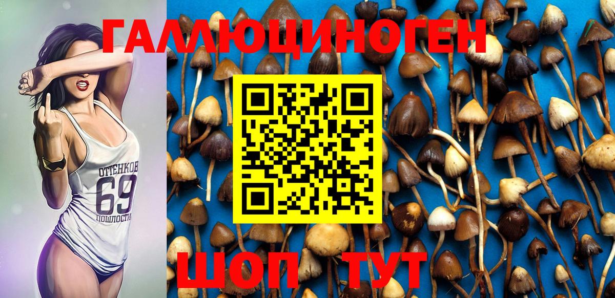 Псилоцибиновые грибы GOLDEN TEACHER Кизилюрт