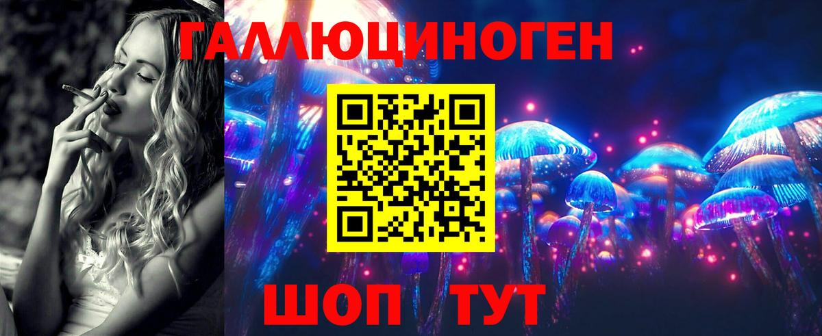 Кизилюрт  Псилоцибиновые грибы Psilocybe  Вход с VPN  наркота  Галлюциногенные грибы мицелий 