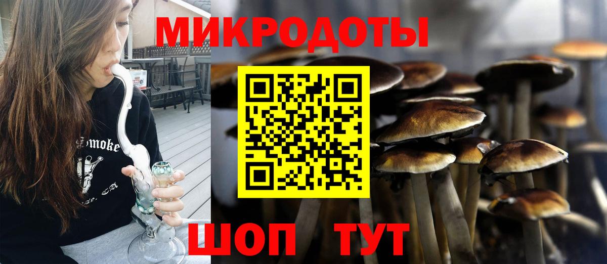 Галлюциногенные грибы MAGIC MUSHROOMS  Кизилюрт  наркота  Псилоцибиновые грибы Psilocybe 