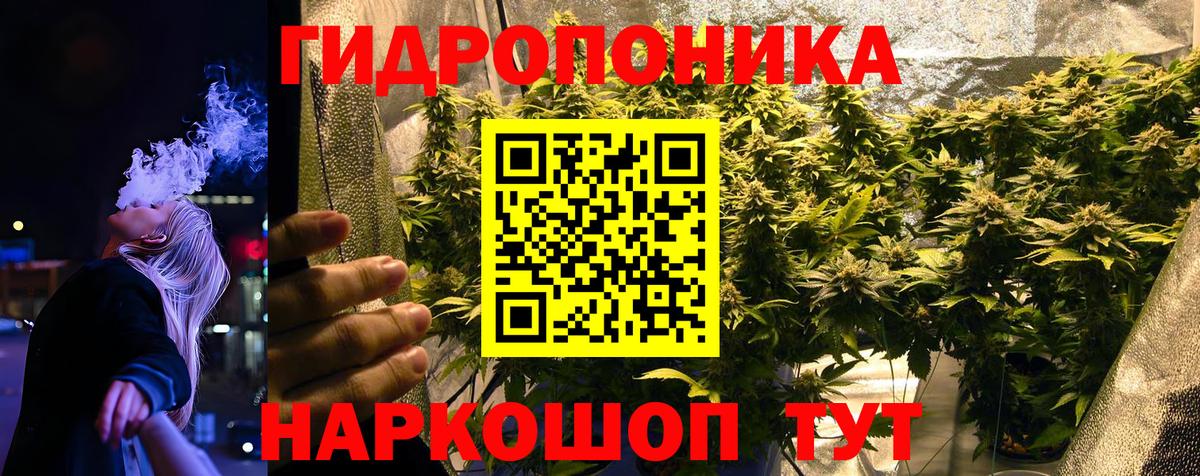 Канабис Amnesia  Марихуана VHQ  Бошки Шишки гибрид  Каннабис White Widow  Кизилюрт 